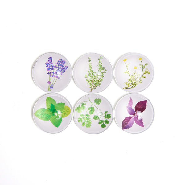 123 Farm Lavender & Herbs Glass Dome Magnet Set