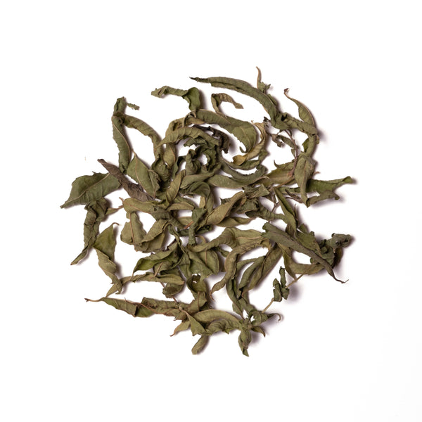 Olive Leaf Tea: Lavender Lemon Verbena